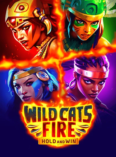 ck5555 new game
